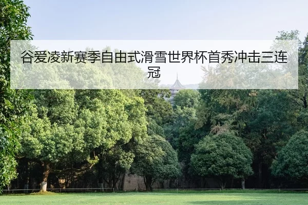 谷爱凌新赛季自由式滑雪世界杯首秀冲击三连冠
