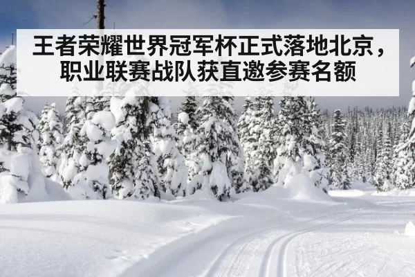 王者荣耀世界冠军杯正式落地北京，职业联赛战队获直邀参赛名额
